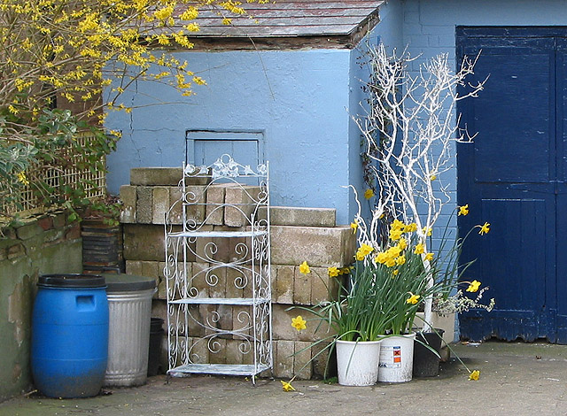 'A tidy yard, an orderly house' (photo by Pauline Eccles)